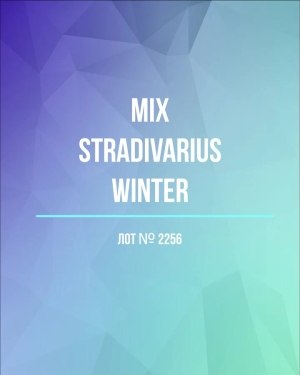 Купить STRADIVARIUS Winter mix#15 кг, ЛОТ №2256 оптом в Сочи и Краснодарском крае