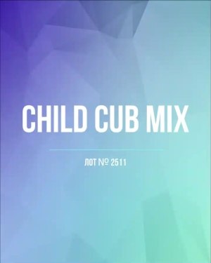 Купить CUBUS детский микс лето (Children CUBUS mix)#15 кг, ЛОТ №2511 оптом в Сочи и Краснодарском крае