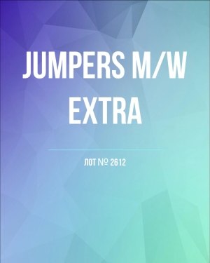 Купить Джемпер муж+жен экстра#15 кг , Лот№2612 оптом в Сочи и Краснодарском крае