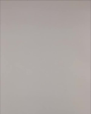 Фотография  355 - Нижнее белье Bon Prix дети#50 шт, ЛОТ №3242 оптом в Сочи и Краснодарском крае