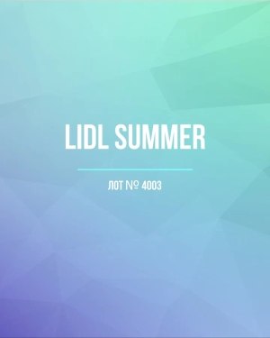 Купить LIDL Summer#20 кг, ЛОТ №4003 оптом в Сочи и Краснодарском крае