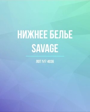 Купить Нижнее белье Savage#50 шт, ЛОТ №4036 оптом в Сочи и Краснодарском крае
