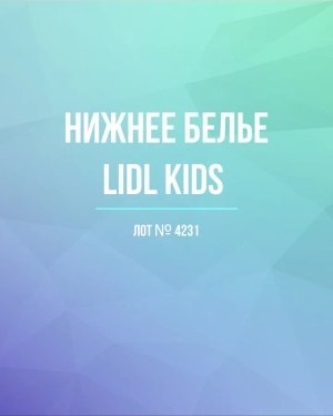 Купить Нижнее белье LIDL Kids#5 кг, ЛОТ №4231 оптом в Сочи и Краснодарском крае