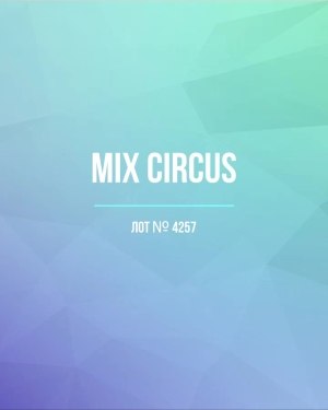 Купить CIRCUS mix #13 кг, ЛОТ №4257 оптом в Сочи и Краснодарском крае