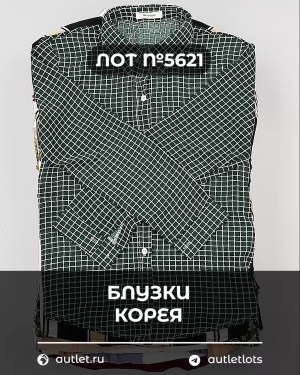 Купить Блузки Корея#20 шт, ЛОТ №5621 оптом в Сочи и Краснодарском крае