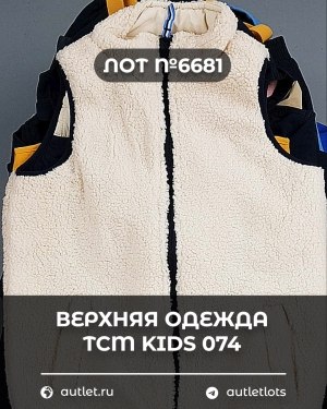 Купить Верхняя одежда TCM kids 074#7 кг, ЛОТ №6681 оптом в Сочи и Краснодарском крае