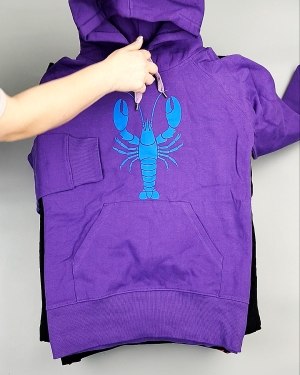 Фотография  301 - Толстовки м/ж (Sweat Tops)#20 кг, ЛОТ №7431 оптом в Сочи и Краснодарском крае