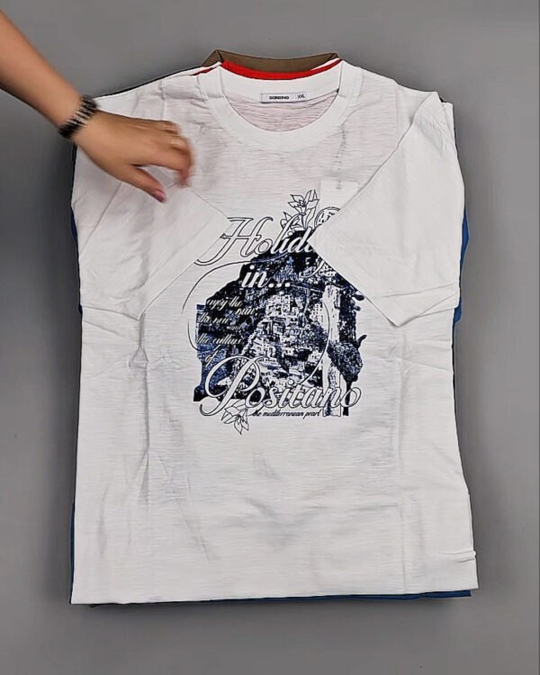 Фотография  832 - Футболки мужские C-3141 (MEN T-shirt Sorbino) #4,7 кг, ЛОТ №8833 оптом в Сочи и Краснодарском крае