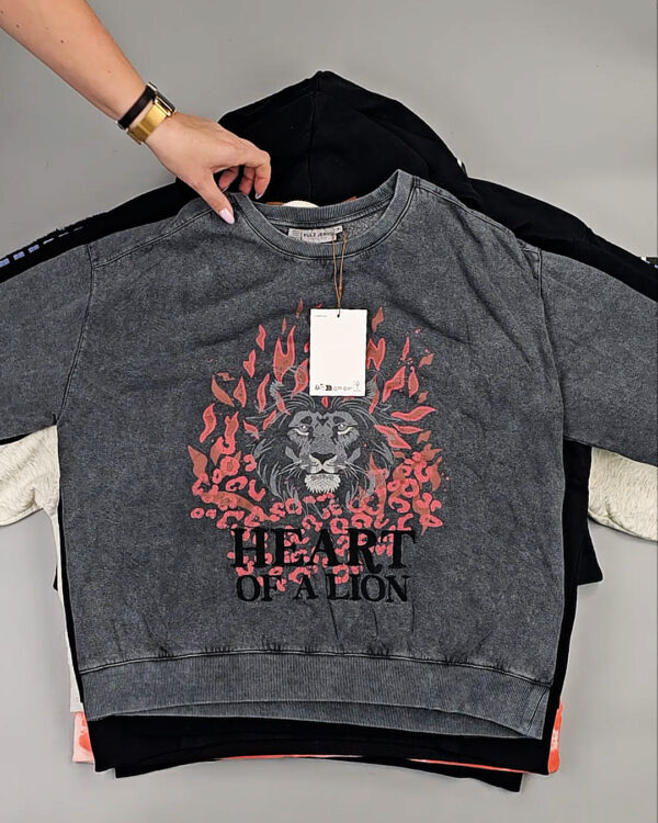 Фотография  279 - Толстовки Bestseller+DK 035#7 кг, ЛОТ СТ-9839 оптом в Сочи и Краснодарском крае